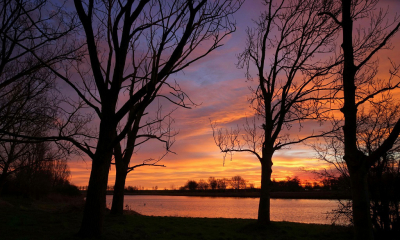 <i class='fa fa-user'></i>&nbsp;Nel R&nbsp;|  Dageraad&nbsp; <i class='fa fa-eye'>&nbsp;80</i> &nbsp;<i class='fa fa-thumbs-up'>&nbsp;2</i> &nbsp; <i class='fa fa-comment-o'>&nbsp;3</i>