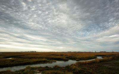 <i class='fa fa-user'></i>&nbsp;Pieter  LJ&nbsp;|  Nieuwjaarsluchten&nbsp; <i class='fa fa-eye'>&nbsp;71</i> &nbsp;<i class='fa fa-thumbs-up'>&nbsp;2</i> &nbsp; <i class='fa fa-comment-o'>&nbsp;4</i>