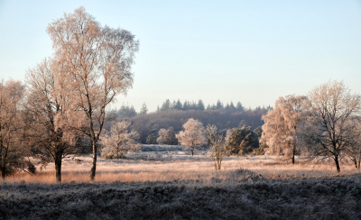 <i class='fa fa-user'></i>&nbsp;nelappelmelk&nbsp;|  Rijp&nbsp; <i class='fa fa-eye'>&nbsp;96</i> &nbsp;<i class='fa fa-thumbs-up'>&nbsp;1</i> &nbsp; <i class='fa fa-comment-o'>&nbsp;6</i>