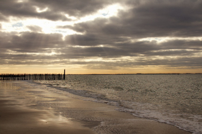 <i class='fa fa-user'></i>&nbsp;RvdT&nbsp;|  Zomerdag strand Dishoek&nbsp; <i class='fa fa-eye'>&nbsp;71</i> &nbsp; <i class='fa fa-comment-o'>&nbsp;2</i>