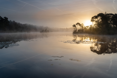 <i class='fa fa-user'></i>&nbsp;bjornvdberg&nbsp;|  Nationaal landschap het groenewoud&nbsp; <i class='fa fa-eye'>&nbsp;116</i> &nbsp;<i class='fa fa-thumbs-up'>&nbsp;7</i> &nbsp; <i class='fa fa-comment-o'>&nbsp;8</i>