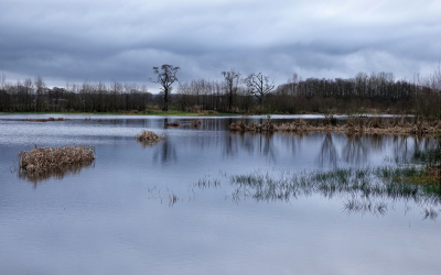 <i class='fa fa-user'></i>&nbsp;nelappelmelk&nbsp;|  Weersverandering&nbsp; <i class='fa fa-eye'>&nbsp;123</i> &nbsp;<i class='fa fa-thumbs-up'>&nbsp;1</i> &nbsp; <i class='fa fa-comment-o'>&nbsp;4</i>