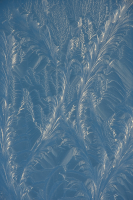 <i class='fa fa-user'></i>&nbsp;Truus Aletta Maan&nbsp;|  IJs bloemen&nbsp; <i class='fa fa-eye'>&nbsp;94</i> &nbsp;<i class='fa fa-thumbs-up'>&nbsp;1</i> &nbsp; <i class='fa fa-comment-o'>&nbsp;1</i>