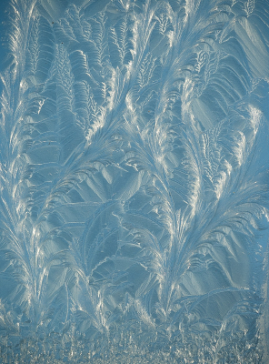 <i class='fa fa-user'></i>&nbsp;Truus Aletta Maan&nbsp;|  IJsbloemen&nbsp; <i class='fa fa-eye'>&nbsp;144</i> &nbsp;<i class='fa fa-thumbs-up'>&nbsp;10</i> &nbsp; <i class='fa fa-comment-o'>&nbsp;13</i>