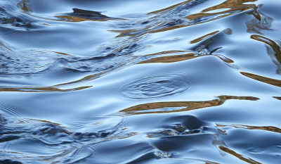 <i class='fa fa-user'></i>&nbsp;nelappelmelk&nbsp;|  Reflecties&nbsp; <i class='fa fa-eye'>&nbsp;104</i> &nbsp;<i class='fa fa-thumbs-up'>&nbsp;1</i> &nbsp; <i class='fa fa-comment-o'>&nbsp;7</i>