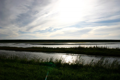 <i class='fa fa-user'></i> Art | Wagejot - Texel  <i class='fa fa-eye'> 249</i>   <i class='fa fa-comment-o'> 0</i>