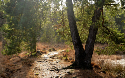 <i class='fa fa-user'></i>&nbsp;B.M.Schouten-Ruis&nbsp;|  Leersumse veld&nbsp; <i class='fa fa-eye'>&nbsp;101</i> &nbsp;<i class='fa fa-thumbs-up'>&nbsp;1</i> &nbsp; <i class='fa fa-comment-o'>&nbsp;4</i>