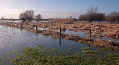 <i class='fa fa-user'></i>&nbsp;nelappelmelk&nbsp;|  De IJssel&nbsp; <i class='fa fa-eye'>&nbsp;94</i> &nbsp;<i class='fa fa-thumbs-up'>&nbsp;1</i> &nbsp; <i class='fa fa-comment-o'>&nbsp;1</i>