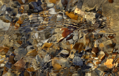 <i class='fa fa-user'></i>&nbsp;Nel R&nbsp;|  Vertekend beeld&nbsp; <i class='fa fa-eye'>&nbsp;133</i> &nbsp;<i class='fa fa-thumbs-up'>&nbsp;5</i> &nbsp; <i class='fa fa-comment-o'>&nbsp;5</i>