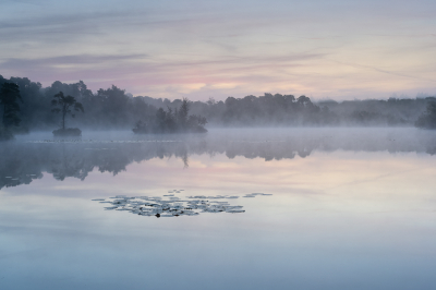 Foto is op een statief en met 1 RAW foto gemaakt, hier is een Benro filter hard grad 2 stops toegepast. wachtend op het eerste licht om de zachte pastel kleuren te kunnen fotograferen en de mist die mooi over het water zweeft.