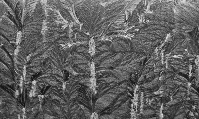 <i class='fa fa-user'></i>&nbsp;nelappelmelk&nbsp;|  IJsbloemen&nbsp; <i class='fa fa-eye'>&nbsp;101</i> &nbsp;<i class='fa fa-thumbs-up'>&nbsp;1</i> &nbsp; <i class='fa fa-comment-o'>&nbsp;7</i>