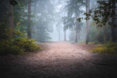 <i class='fa fa-user'></i>&nbsp;bjornvdberg&nbsp;|  Mastbos&nbsp; <i class='fa fa-eye'>&nbsp;144</i> &nbsp; <i class='fa fa-comment-o'>&nbsp;2</i>