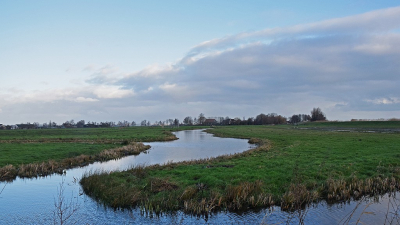 <i class='fa fa-user'></i>&nbsp;kooyammers&nbsp;|  Kippenkade&nbsp; <i class='fa fa-eye'>&nbsp;75</i> &nbsp;<i class='fa fa-thumbs-up'>&nbsp;2</i> &nbsp; <i class='fa fa-comment-o'>&nbsp;5</i>