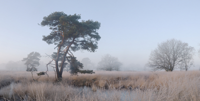 <i class='fa fa-user'></i>&nbsp;Hendrik van Kampen&nbsp;|  Wijnjeterper Schar&nbsp; <i class='fa fa-eye'>&nbsp;162</i> &nbsp;<i class='fa fa-thumbs-up'>&nbsp;15</i> &nbsp; <i class='fa fa-comment-o'>&nbsp;15</i>