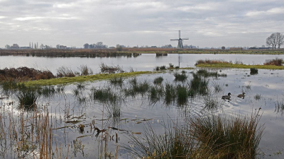 <i class='fa fa-user'></i>&nbsp;kooyammers&nbsp;|  Het Doove Gat&nbsp; <i class='fa fa-eye'>&nbsp;146</i> &nbsp;<i class='fa fa-thumbs-up'>&nbsp;7</i> &nbsp; <i class='fa fa-comment-o'>&nbsp;11</i>