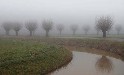 <i class='fa fa-user'></i>&nbsp;Ben Aalders&nbsp;|  Landweg&nbsp; <i class='fa fa-eye'>&nbsp;89</i> &nbsp;<i class='fa fa-thumbs-up'>&nbsp;3</i> &nbsp; <i class='fa fa-comment-o'>&nbsp;7</i>