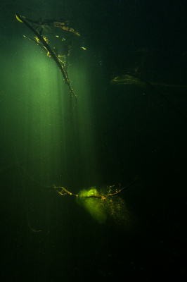 <i class='fa fa-user'></i>&nbsp;Eric Gibcus&nbsp;|  Water&nbsp; <i class='fa fa-eye'>&nbsp;131</i> &nbsp;<i class='fa fa-thumbs-up'>&nbsp;2</i> &nbsp; <i class='fa fa-comment-o'>&nbsp;4</i>