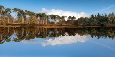 <i class='fa fa-user'></i>&nbsp;harrie69&nbsp;|  Spiegeling&nbsp; <i class='fa fa-eye'>&nbsp;96</i> &nbsp;<i class='fa fa-thumbs-up'>&nbsp;3</i> &nbsp; <i class='fa fa-comment-o'>&nbsp;6</i>