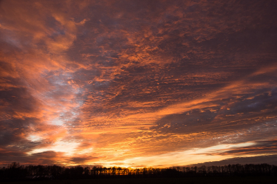 <i class='fa fa-user'></i>&nbsp;Truus Aletta Maan&nbsp;|  Zonsondergang&nbsp; <i class='fa fa-eye'>&nbsp;113</i> &nbsp;<i class='fa fa-thumbs-up'>&nbsp;10</i> &nbsp; <i class='fa fa-comment-o'>&nbsp;12</i>