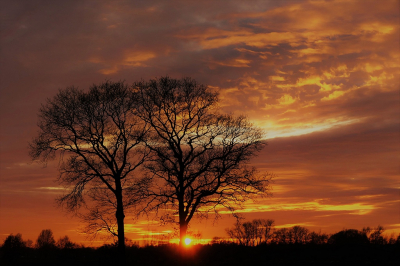 <i class='fa fa-user'></i>&nbsp;frbeuming&nbsp;|  Zonsondergang&nbsp; <i class='fa fa-eye'>&nbsp;83</i> &nbsp;<i class='fa fa-thumbs-up'>&nbsp;5</i> &nbsp; <i class='fa fa-comment-o'>&nbsp;6</i>