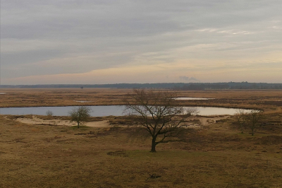 <i class='fa fa-user'></i>&nbsp;frbeuming&nbsp;|  Heidelandschap in de winter&nbsp; <i class='fa fa-eye'>&nbsp;86</i> &nbsp;<i class='fa fa-thumbs-up'>&nbsp;1</i> &nbsp; <i class='fa fa-comment-o'>&nbsp;5</i>