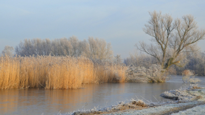 <i class='fa fa-user'></i>&nbsp;B.M.Schouten-Ruis&nbsp;|  Winterlandschap Hitland&nbsp; <i class='fa fa-eye'>&nbsp;98</i> &nbsp;<i class='fa fa-thumbs-up'>&nbsp;1</i> &nbsp; <i class='fa fa-comment-o'>&nbsp;7</i>