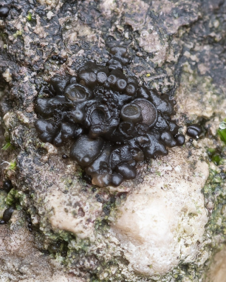 <i class='fa fa-user'></i>&nbsp;Johan van Gurp&nbsp;|  Dik Geleimos&nbsp; <i class='fa fa-eye'>&nbsp;69</i> &nbsp; <i class='fa fa-comment-o'>&nbsp;3</i>