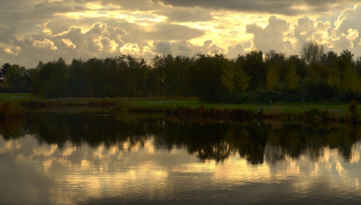 <i class='fa fa-user'></i>&nbsp;B.M.Schouten-Ruis&nbsp;|  Hoge Bergse Bos&nbsp; <i class='fa fa-eye'>&nbsp;80</i> &nbsp;<i class='fa fa-thumbs-up'>&nbsp;3</i> &nbsp; <i class='fa fa-comment-o'>&nbsp;6</i>