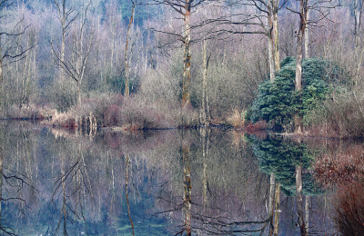 <i class='fa fa-user'></i>&nbsp;Pieter  LJ&nbsp;|  De Zeezuiperd&nbsp; <i class='fa fa-eye'>&nbsp;133</i> &nbsp;<i class='fa fa-thumbs-up'>&nbsp;2</i> &nbsp; <i class='fa fa-comment-o'>&nbsp;7</i>