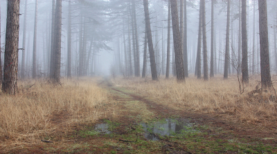 <i class='fa fa-user'></i>&nbsp;Paul Vandebroek&nbsp;|  Sfeer&nbsp; <i class='fa fa-eye'>&nbsp;129</i> &nbsp;<i class='fa fa-thumbs-up'>&nbsp;11</i> &nbsp; <i class='fa fa-comment-o'>&nbsp;11</i>