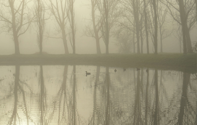 <i class='fa fa-user'></i>&nbsp;Nel R&nbsp;|  Mist&nbsp; <i class='fa fa-eye'>&nbsp;83</i> &nbsp; <i class='fa fa-comment-o'>&nbsp;5</i>