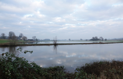 <i class='fa fa-user'></i>&nbsp;nelappelmelk&nbsp;|  De IJssel&nbsp; <i class='fa fa-eye'>&nbsp;78</i> &nbsp;<i class='fa fa-thumbs-up'>&nbsp;2</i> &nbsp; <i class='fa fa-comment-o'>&nbsp;3</i>
