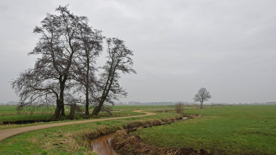 <i class='fa fa-user'></i>&nbsp;kooyammers&nbsp;|  Langs een Fietspad&nbsp; <i class='fa fa-eye'>&nbsp;98</i> &nbsp;<i class='fa fa-thumbs-up'>&nbsp;3</i> &nbsp; <i class='fa fa-comment-o'>&nbsp;7</i>