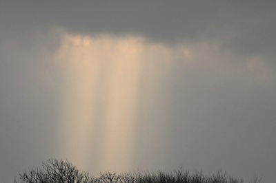 <i class='fa fa-user'></i>&nbsp;Arne Bakker&nbsp;|  Harpen&nbsp; <i class='fa fa-eye'>&nbsp;81</i> &nbsp; <i class='fa fa-comment-o'>&nbsp;2</i>