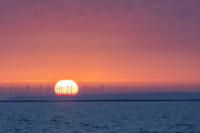 Foto is uit de hand genomen en met een 70-300mm gefotografeerd vroeg in de ochtend. mvg Bjorn van den Berg