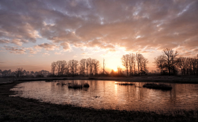 <i class='fa fa-user'></i>&nbsp;nelappelmelk&nbsp;|  Zonsopgang&nbsp; <i class='fa fa-eye'>&nbsp;93</i> &nbsp;<i class='fa fa-thumbs-up'>&nbsp;4</i> &nbsp; <i class='fa fa-comment-o'>&nbsp;7</i>