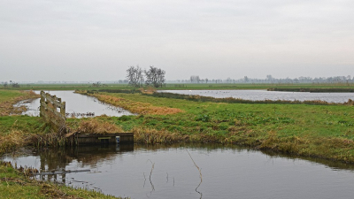 <i class='fa fa-user'></i>&nbsp;kooyammers&nbsp;|  Polder Groot Keulevaart&nbsp; <i class='fa fa-eye'>&nbsp;78</i> &nbsp;<i class='fa fa-thumbs-up'>&nbsp;2</i> &nbsp; <i class='fa fa-comment-o'>&nbsp;2</i>