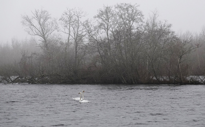 <i class='fa fa-user'></i>&nbsp;Ben Aalders&nbsp;|  Weerribben&nbsp; <i class='fa fa-eye'>&nbsp;76</i> &nbsp;<i class='fa fa-thumbs-up'>&nbsp;1</i> &nbsp; <i class='fa fa-comment-o'>&nbsp;3</i>