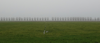 <i class='fa fa-user'></i>&nbsp;Ben Aalders&nbsp;|  Wilgenlaan&nbsp; <i class='fa fa-eye'>&nbsp;106</i> &nbsp;<i class='fa fa-thumbs-up'>&nbsp;3</i> &nbsp; <i class='fa fa-comment-o'>&nbsp;5</i>