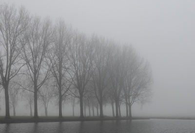 <i class='fa fa-user'></i>&nbsp;Ben Aalders&nbsp;|  Mist&nbsp; <i class='fa fa-eye'>&nbsp;68</i> &nbsp;<i class='fa fa-thumbs-up'>&nbsp;1</i> &nbsp; <i class='fa fa-comment-o'>&nbsp;3</i>