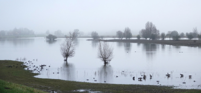 <i class='fa fa-user'></i>&nbsp;nelappelmelk&nbsp;|  Al zakkend water&nbsp; <i class='fa fa-eye'>&nbsp;86</i> &nbsp;<i class='fa fa-thumbs-up'>&nbsp;1</i> &nbsp; <i class='fa fa-comment-o'>&nbsp;6</i>