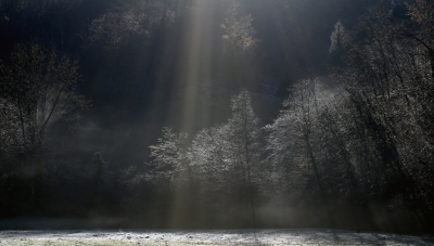 <i class='fa fa-user'></i>&nbsp;liesbeth van vliet&nbsp;|  Ochtendlicht&nbsp; <i class='fa fa-eye'>&nbsp;139</i> &nbsp;<i class='fa fa-thumbs-up'>&nbsp;13</i> &nbsp; <i class='fa fa-comment-o'>&nbsp;12</i>