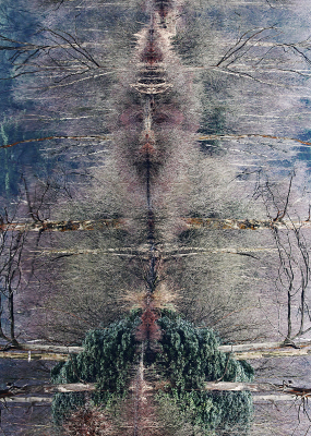 <i class='fa fa-user'></i>&nbsp;Pieter  LJ&nbsp;|  Aap met een hoedje op&nbsp; <i class='fa fa-eye'>&nbsp;235</i> &nbsp;<i class='fa fa-thumbs-up'>&nbsp;16</i> &nbsp; <i class='fa fa-comment-o'>&nbsp;14</i>