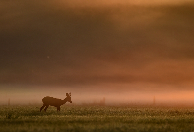 <i class='fa fa-user'></i>&nbsp;robert-jan&nbsp;|  Ree&nbsp; <i class='fa fa-eye'>&nbsp;113</i> &nbsp;<i class='fa fa-thumbs-up'>&nbsp;3</i> &nbsp; <i class='fa fa-comment-o'>&nbsp;5</i>