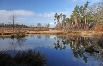 <i class='fa fa-user'></i>&nbsp;nelappelmelk&nbsp;|  Zon!&nbsp; <i class='fa fa-eye'>&nbsp;92</i> &nbsp; <i class='fa fa-comment-o'>&nbsp;11</i>