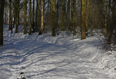 <i class='fa fa-user'></i>&nbsp;Cor&nbsp;|  Sneeuw en Zon&nbsp; <i class='fa fa-eye'>&nbsp;94</i> &nbsp;<i class='fa fa-thumbs-up'>&nbsp;1</i> &nbsp; <i class='fa fa-comment-o'>&nbsp;8</i>