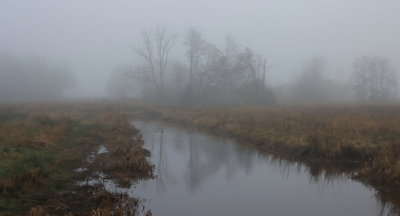 <i class='fa fa-user'></i>&nbsp;Tineke Strijbosch&nbsp;|  Mist in het landschap (3)&nbsp; <i class='fa fa-eye'>&nbsp;75</i> &nbsp; <i class='fa fa-comment-o'>&nbsp;4</i>
