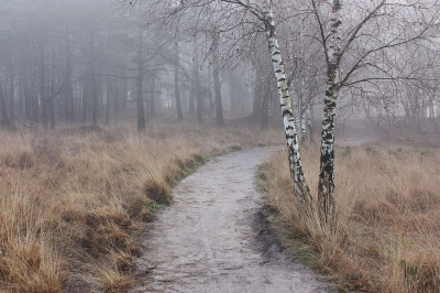 <i class='fa fa-user'></i>&nbsp;Paul Vandebroek&nbsp;|  Verwelkoming&nbsp; <i class='fa fa-eye'>&nbsp;96</i> &nbsp; <i class='fa fa-comment-o'>&nbsp;10</i>