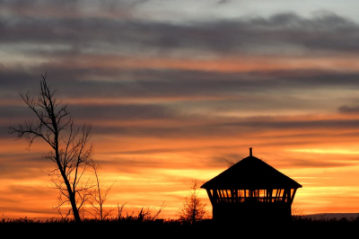 <i class='fa fa-user'></i>&nbsp;mauritskoenen48&nbsp;|  Vogelhut Zeearend bij ondergaande zon&nbsp; <i class='fa fa-eye'>&nbsp;113</i> &nbsp; <i class='fa fa-comment-o'>&nbsp;3</i>