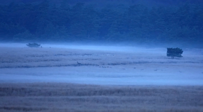 <i class='fa fa-user'></i>&nbsp;nelappelmelk&nbsp;|  Opkomende grondmist met hindes&nbsp; <i class='fa fa-eye'>&nbsp;125</i> &nbsp; <i class='fa fa-comment-o'>&nbsp;5</i>